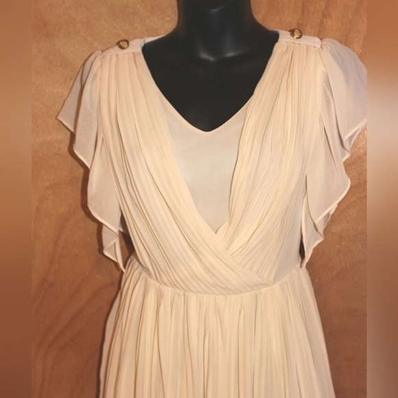 Ecolour Ciffon Pleated Dress - Picture 3 of 9